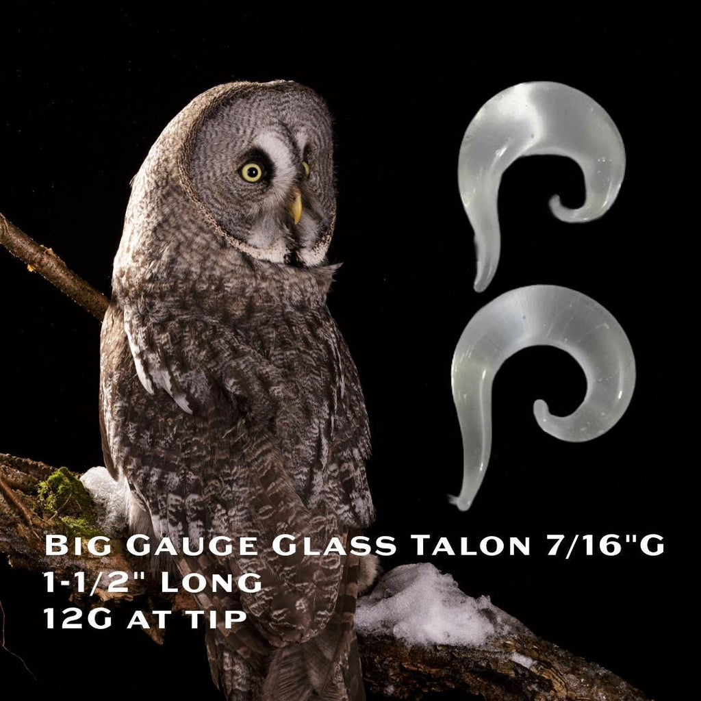 12G Clear Glass Spiral Talon Plug – Lobe Stretcher & Surgical Retainer, Metal-Free