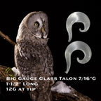 12G Clear Glass Spiral Talon Plug – Lobe Stretcher & Surgical Retainer, Metal-Free