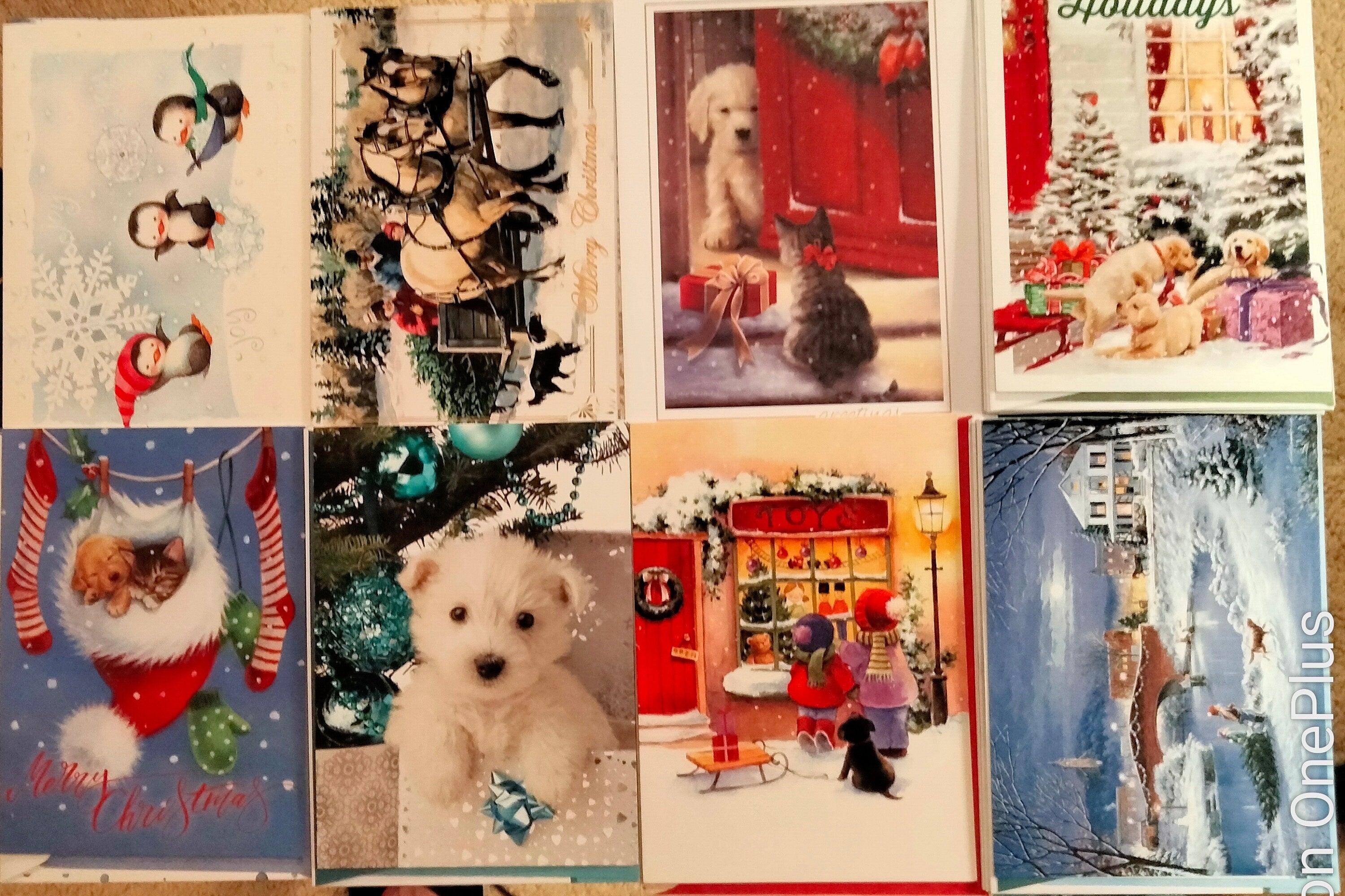 Animal & Pet Christmas Cards – 30-Card Assortment, USA Printed with Matching Envelopes