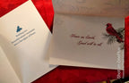 Religious Christmas Cards – 30-Card Assortment, Churches, Angels & Nativity, USA Printed