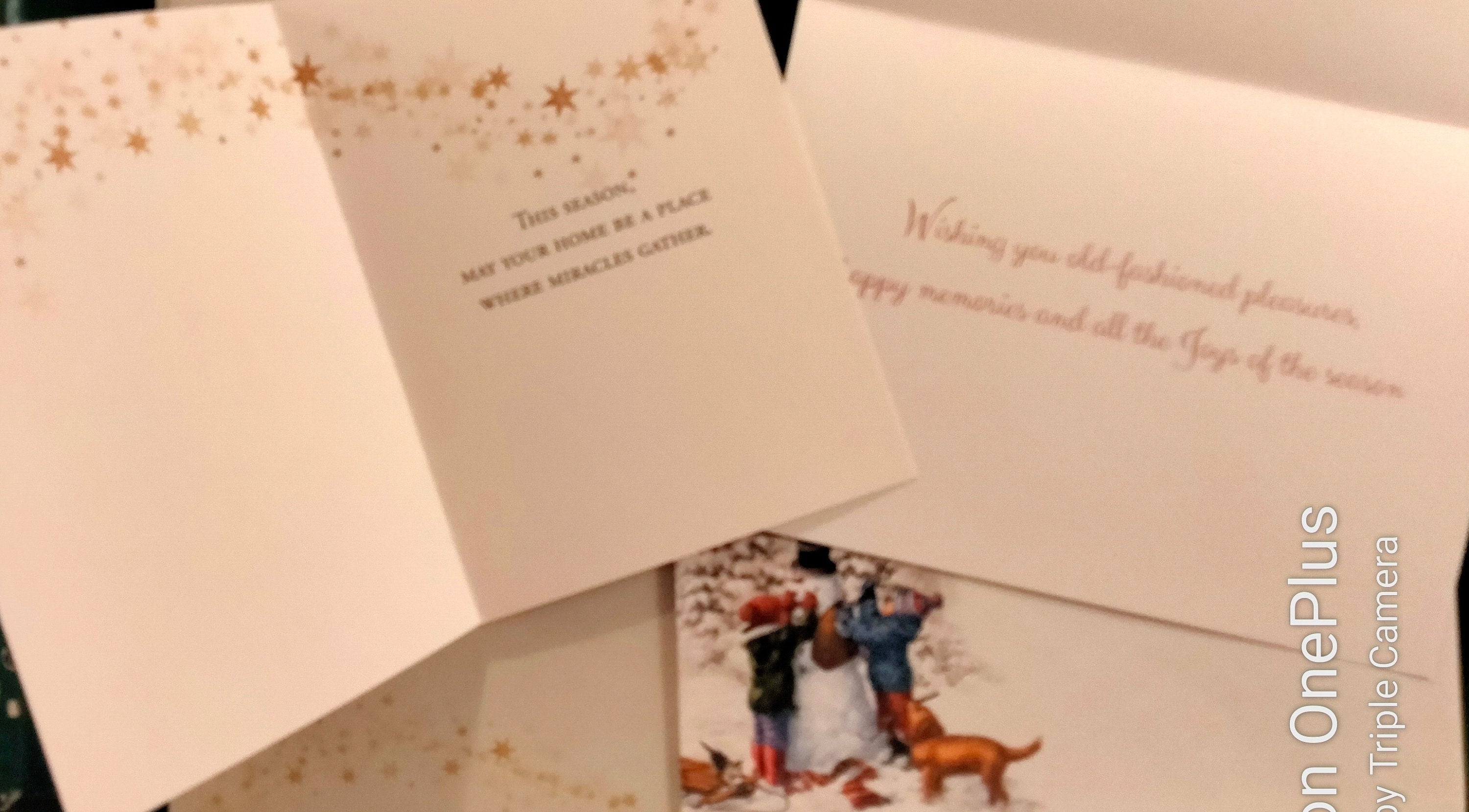 Animal & Pet Christmas Cards – 30-Card Assortment, USA Printed with Matching Envelopes