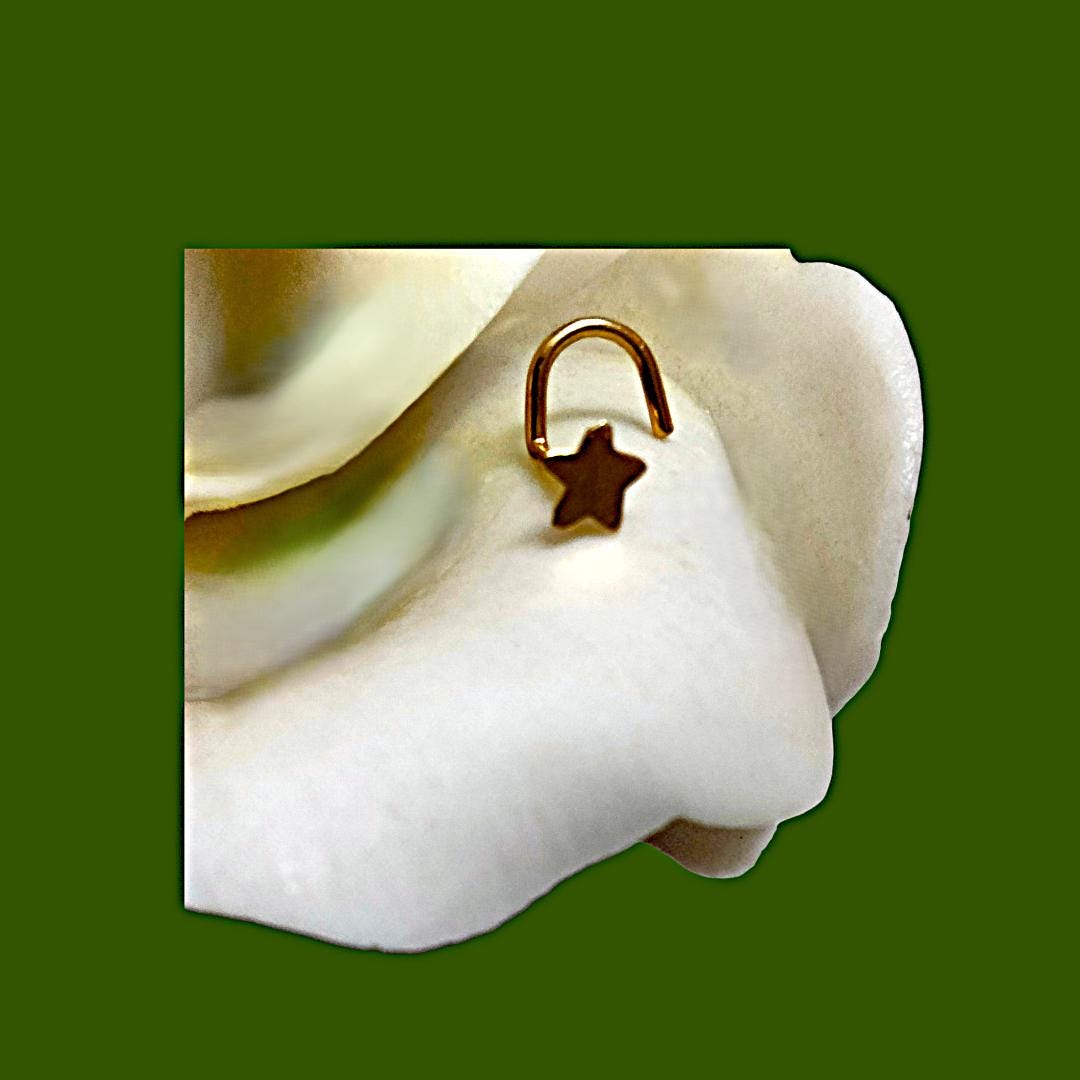 20G Star Nose Screw – 14K Gold Plated over Sterling Silver, Tiny & Dainty