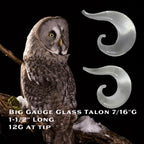 12G Clear Glass Spiral Talon Plug – Lobe Stretcher & Surgical Retainer, Metal-Free