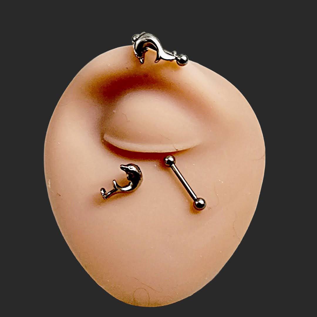 16G Dolphin Straight Barbell – 316L Surgical Steel, 9/16", Helix, Cartilage & Eyebrow