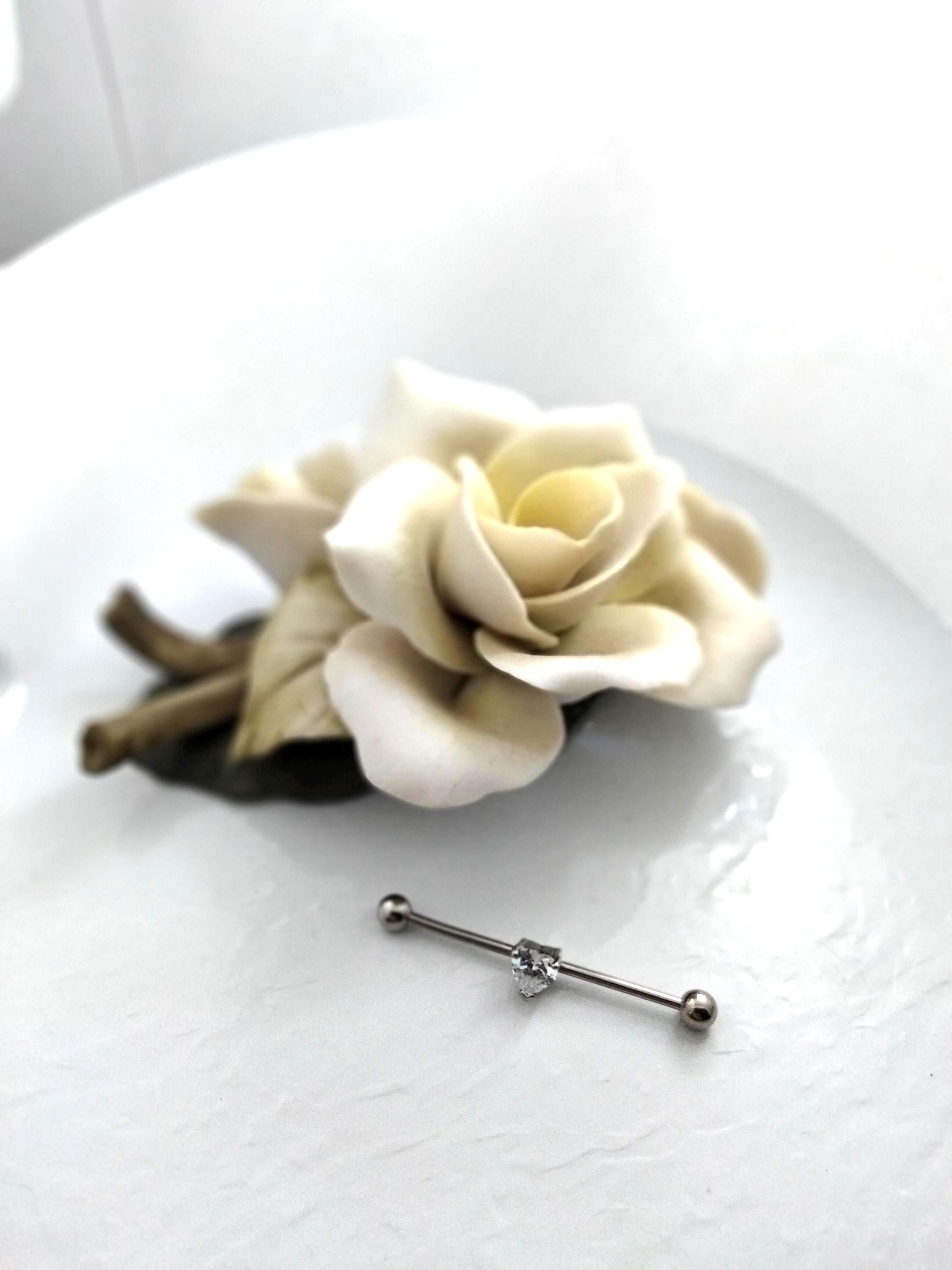 14G Industrial Barbell – Surgical Steel, Diamond-Like Heart Stone, Prong Set