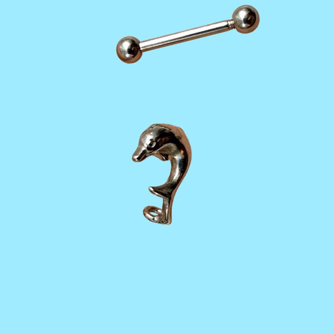 16G Dolphin Straight Barbell – 316L Surgical Steel, 9/16", Helix, Cartilage & Eyebrow