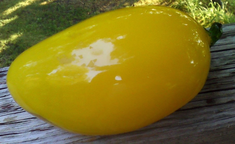 Murano Yellow Glass Pepper: Handblown Art Decor