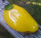 Murano Yellow Glass Pepper: Handblown Art Decor