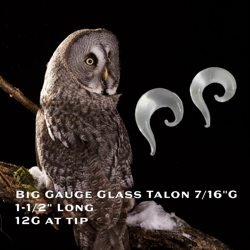 12G Clear Glass Spiral Talon Plug – Lobe Stretcher & Surgical Retainer, Metal-Free