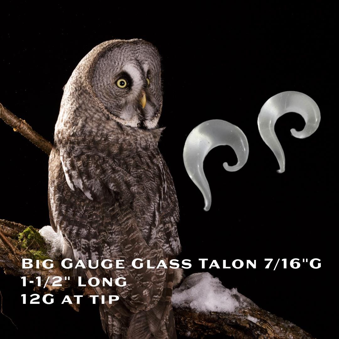 12G Clear Glass Spiral Talon Plug – Lobe Stretcher & Surgical Retainer, Metal-Free