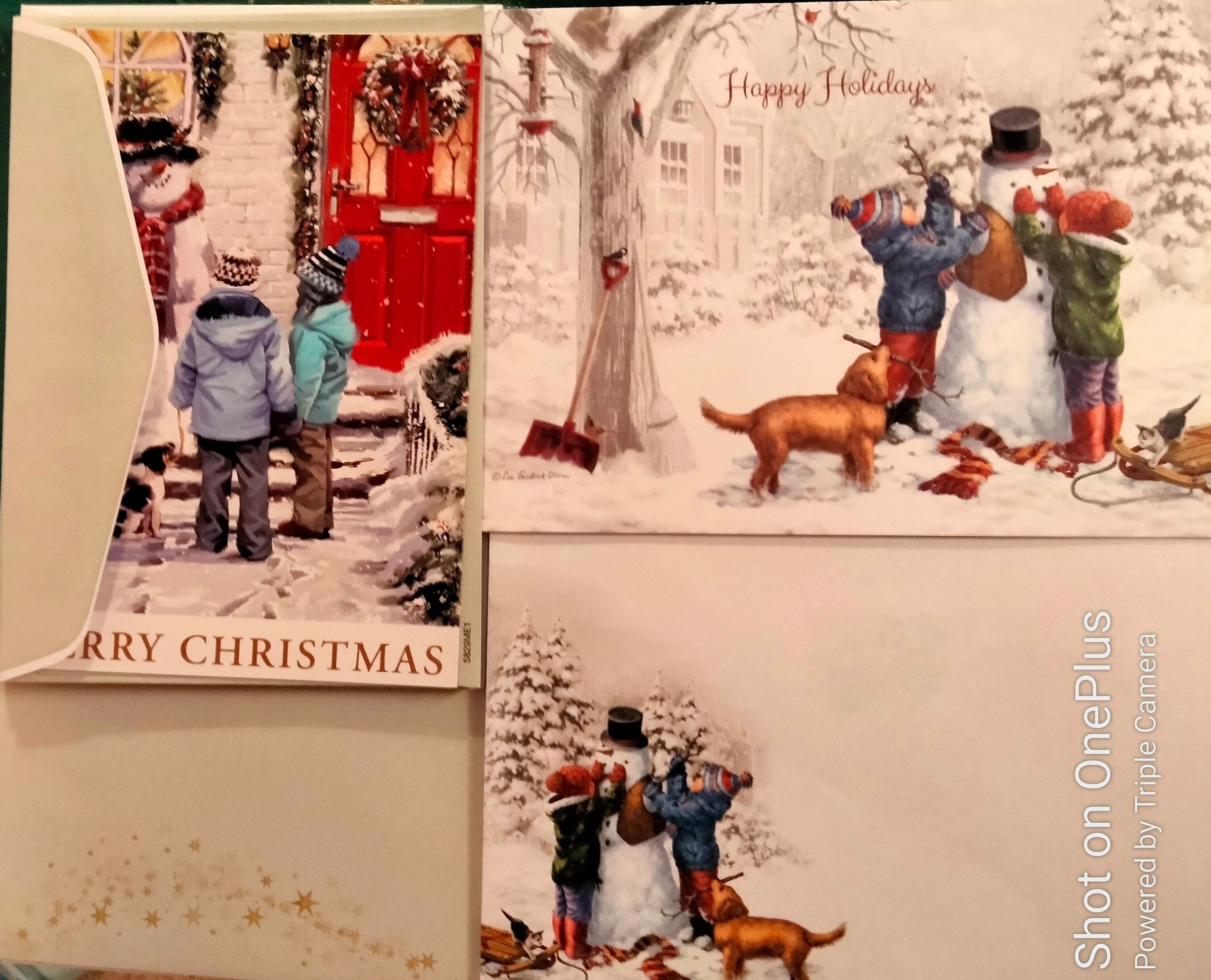 Animal & Pet Christmas Cards – 30-Card Assortment, USA Printed with Matching Envelopes